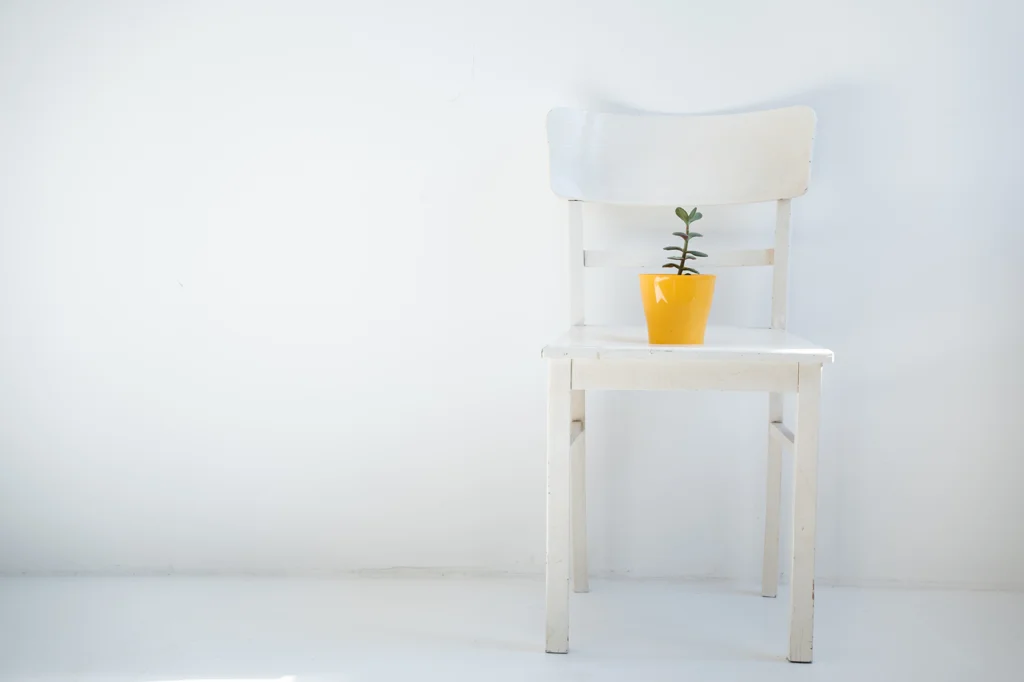 ein weißer  Stuhl mit etwas abgenutzter farbe vor einer weißen wand und auf weißem Boden am rechten Bildrand. auf dem Stuhl steht ein gelber Blumentopf mit einer grünen pflanze